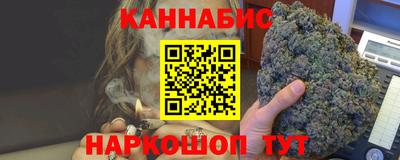 apvp Бийск