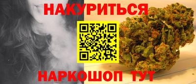apvp Бийск