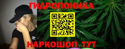 apvp Бийск