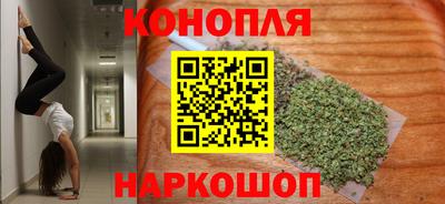 apvp Бийск
