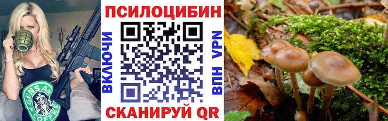 Псилоцибиновые грибы Psilocybe Еманжелинск