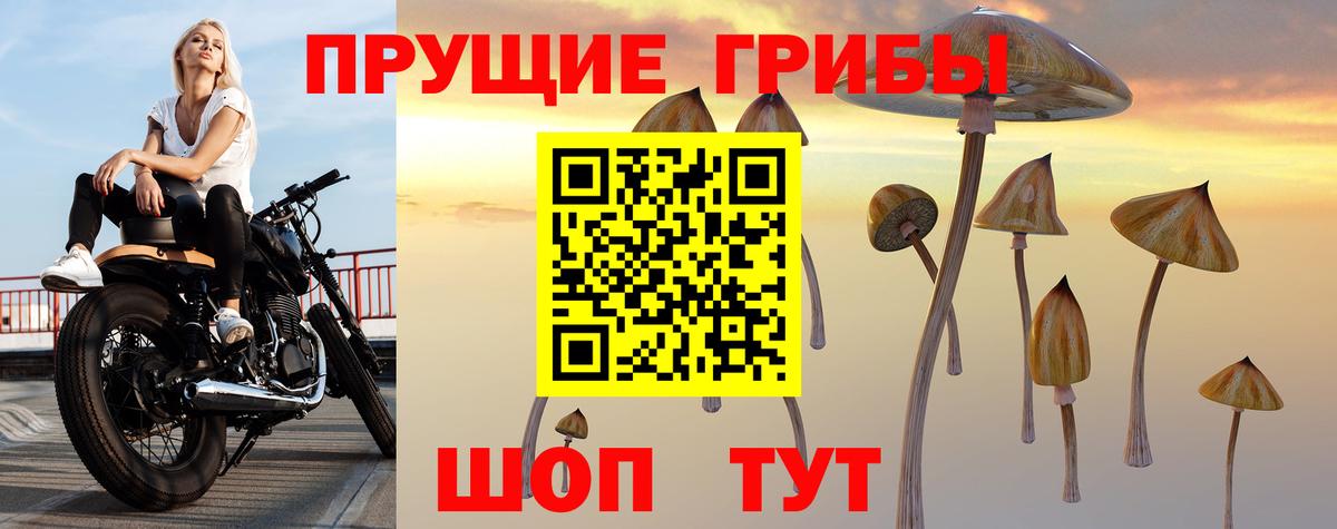 наркошоп  Псилоцибиновые грибы Cubensis  Вход с VPN  Еманжелинск 