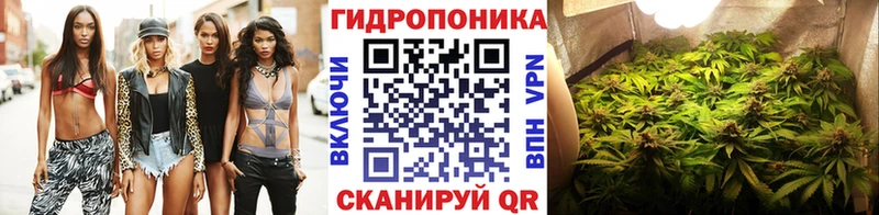 Бошки Шишки MAZAR  Еманжелинск 